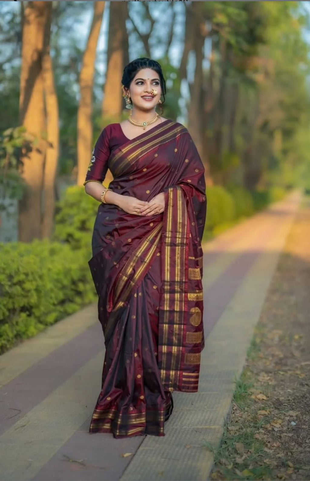 Soft Silk Narayan Border Saree – Rich Contrast Pallu.