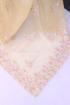 Premium Zimmy Chiffon Saree